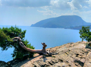 Вилла Верона