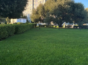 Квартира Уютная в курортной зоне города Белокуриха