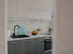 Апартаменты Argentum Home Дудинская 2