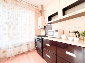 Апартаменты Просторная квартира в центре