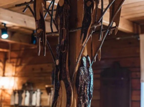 Отель Метелица