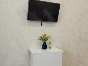 Квартира Светлая