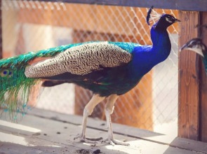 Отель Яхонты Ногинск