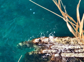 Апартаменты в Ботаническом Саду 7 Минут до Пляжа