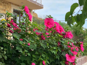 Золотые Пески