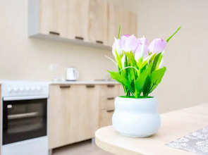 Апартаменты Cosmos Apart на Революции 52 В  (1)