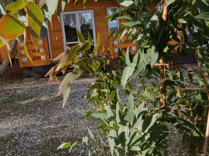 База отдыха Нарт отель