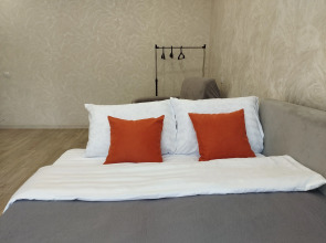 Квартира Светлая