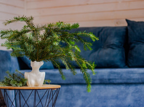 База отдыха "Авалон"