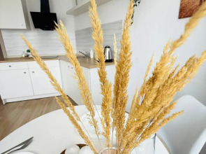 Квартира Уютная Студия