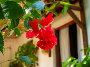 Бутик-отель Casa de Los Santos Reyes Valledupar