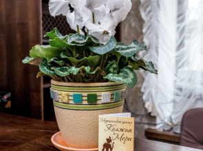 Мини-Отель Медицинский центр Княжна Мери