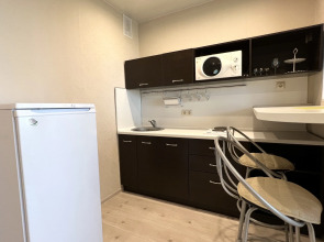 Апартаменты Изящные Kvartiry54