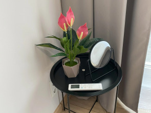 Апартаменты Oma Kodi в центре в парке у реки