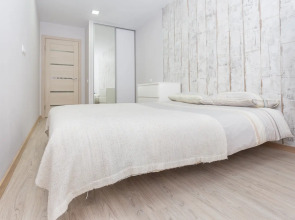 Апартаменты Бизнес-класса на Красном проспекте