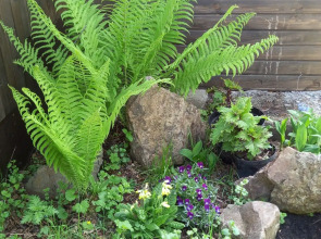 Гостевой дом Усадьба Добрыня