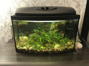 Апартаменты 1001 ночь на Разина