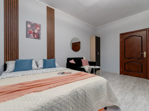 Апартаменты (314) Жуковского 1/2/10 с2