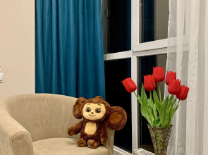 Квартира 300 метров Кисловодский парк