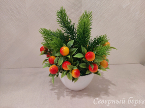 Апартаменты "Северный берег" в самом сердце города на Поморской