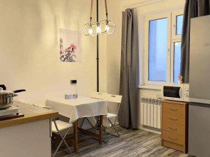 Апартаменты на улице Тургенева