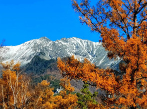 Мини-отель Подснежник