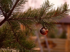 Коттеджный Комплекс Озерный Берег