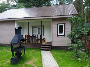 Частный дом в Малые соли