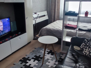 Квартира рядом с памятником Алеша