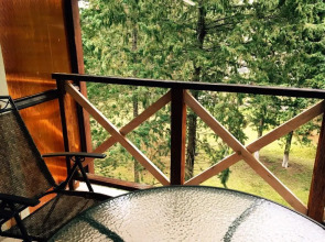 Отель Пицунда