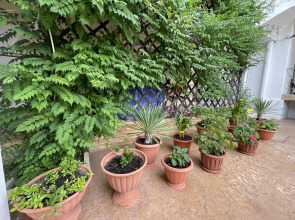 Гостевой Дом Астерия