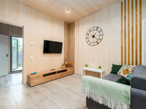 Частный дом в Токсово Озеро парк