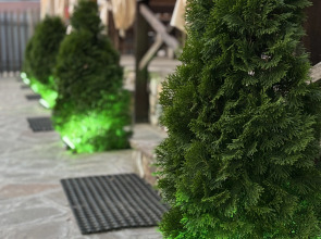 База отдыха Белуга