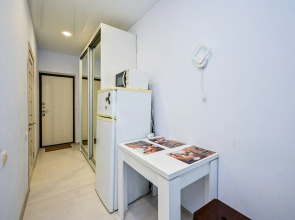 Апартаменты на Дмитрия Михайлова 12 (3)