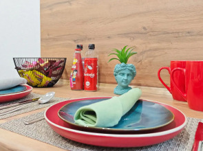 Апартаменты Skout Room