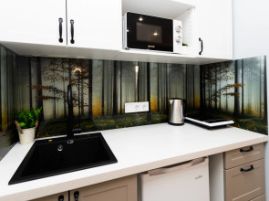 Апартаменты Лес 412/2