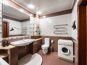 Квартира просторная от трех суток