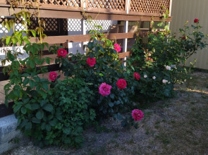 Гостевой дом Песчаный Берег