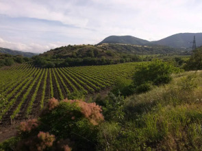 Гостевой Дом Ускут