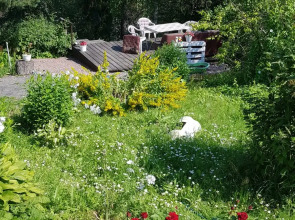 Гостевой дом у Реки с Водопадом