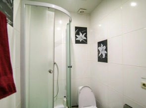 Апартаменты на Московской