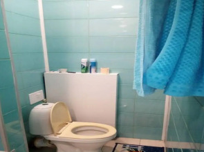 Квартира у Моста Александра Невского