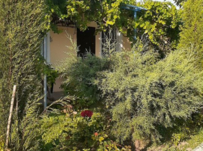 Гостевой дом Морская сказка