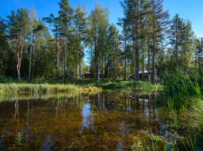 Гостевой дом Хутор Вилппула