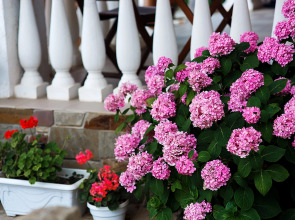 Гостевой Дом Морская Феерия