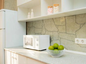 Квартира в самом центре у Галереи Чижова