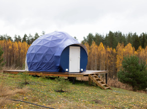 Глэмпинг Папоротник