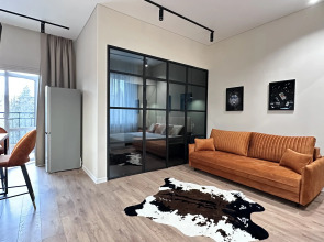 Апартаменты Однокомнатный апартамент люкс