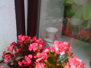 Мини-отель Губерния