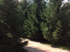 База отдыха Экопарк Раздолье